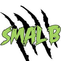 SMAL B