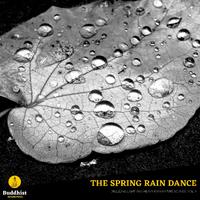 The Spring Rain Dance - Drizzling Light and Heavy Rain Nature Sounds, Vol. 9