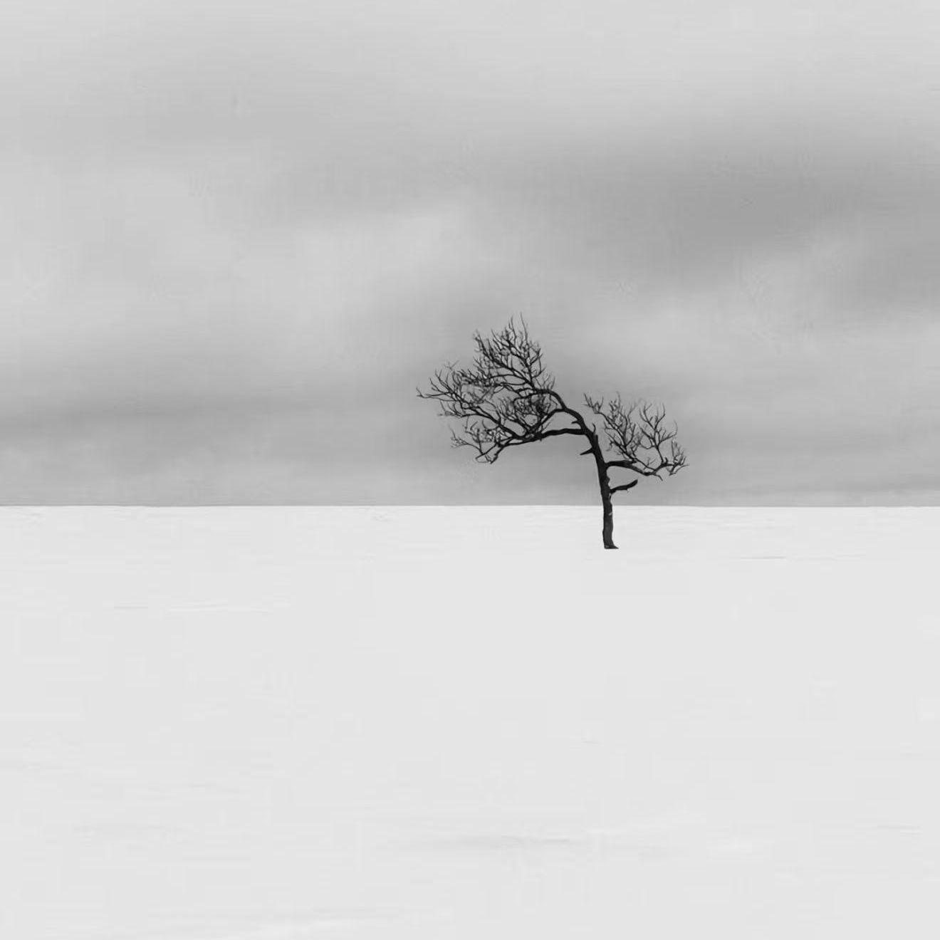 一分一秒(爱一个人应该只爱一个人)