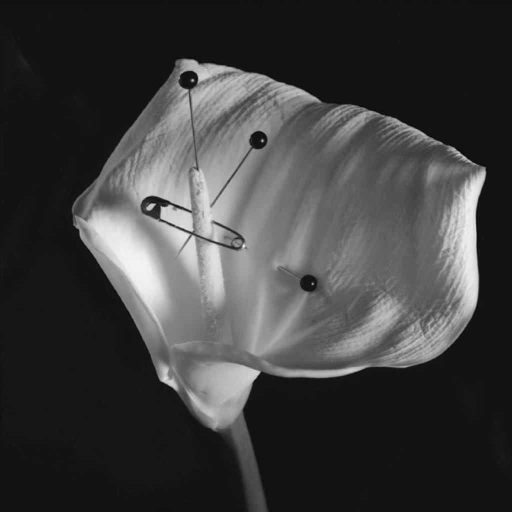 纯音乐/背景音乐/咖啡店/静吧/轻音乐/舒缓