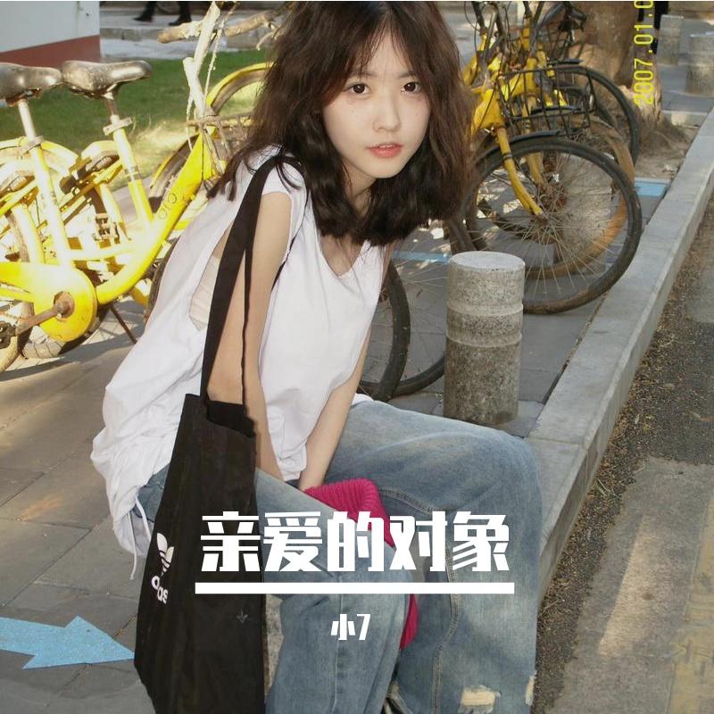 蔡依林-亲爱的对象（小7 remix）封面