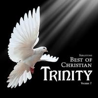 Bibletone: Best of Christian (Trinity), Vol. 7