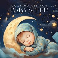 Cozy Noises for Baby Sleep: Vacuum Cleaner and Hair Dryer Sounds, Brown Noise, Heartbeat for Babies