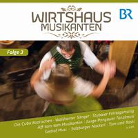 Wirtshausmusikanten - Folge 3