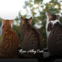 Three Alley Cats