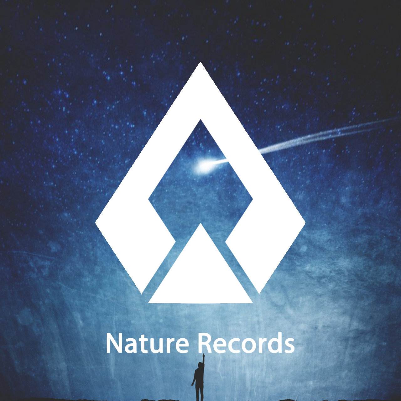 LaRry Rong（Nature Records - 自然记录）