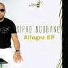 Sipho Ngubane - I Promise (Newtonez Remix)