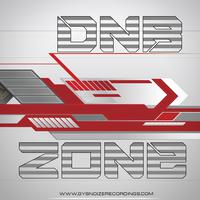 Dnb - Zone