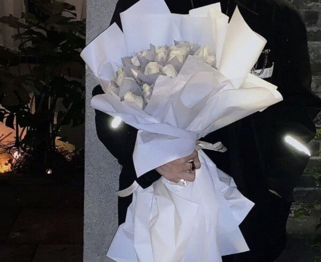 半只狐狸