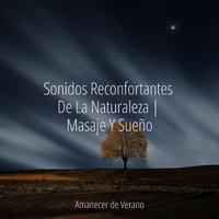 Sonidos Reconfortantes De La Naturaleza | Masaje Y Sueño