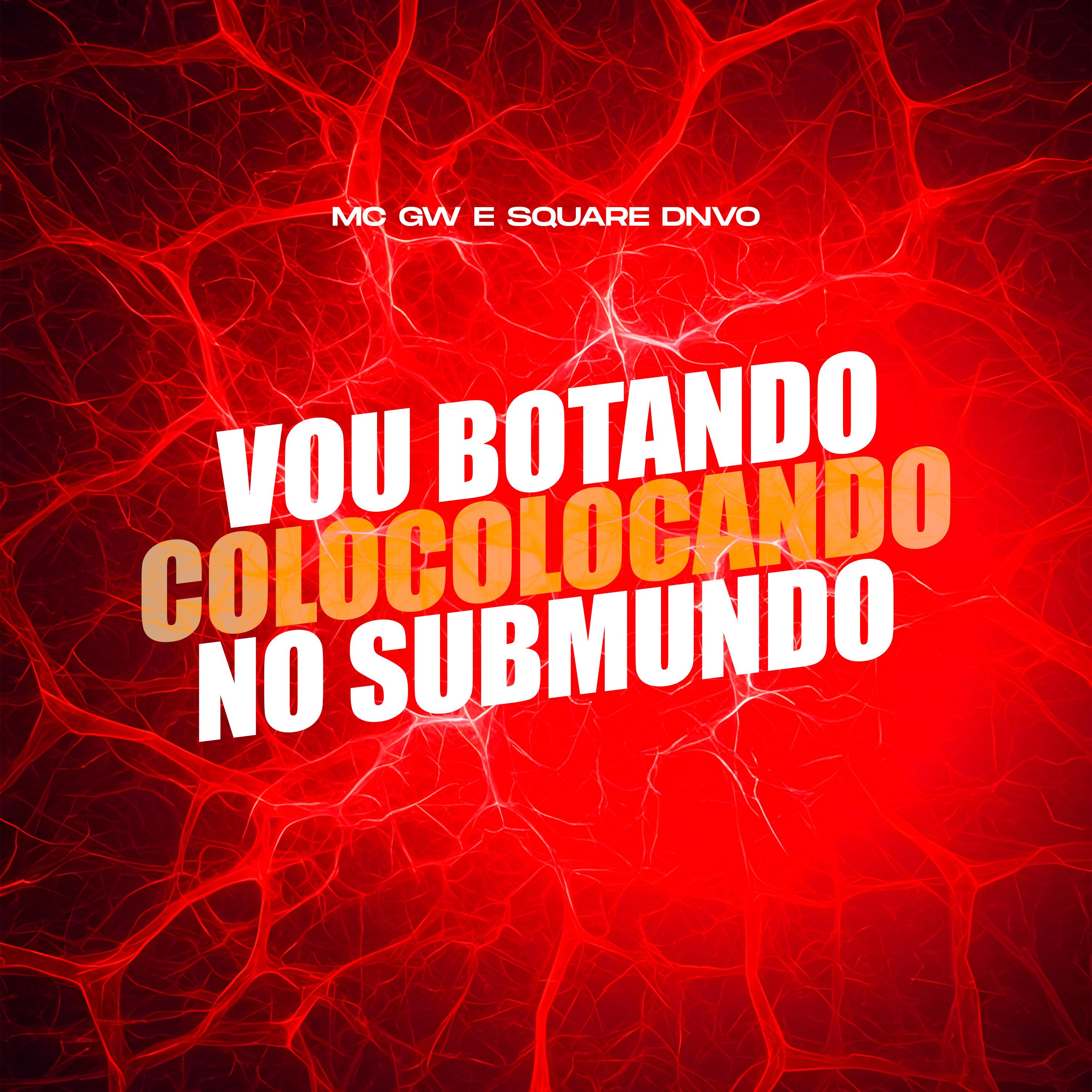 Vou Botando Colocolocando no Submundo