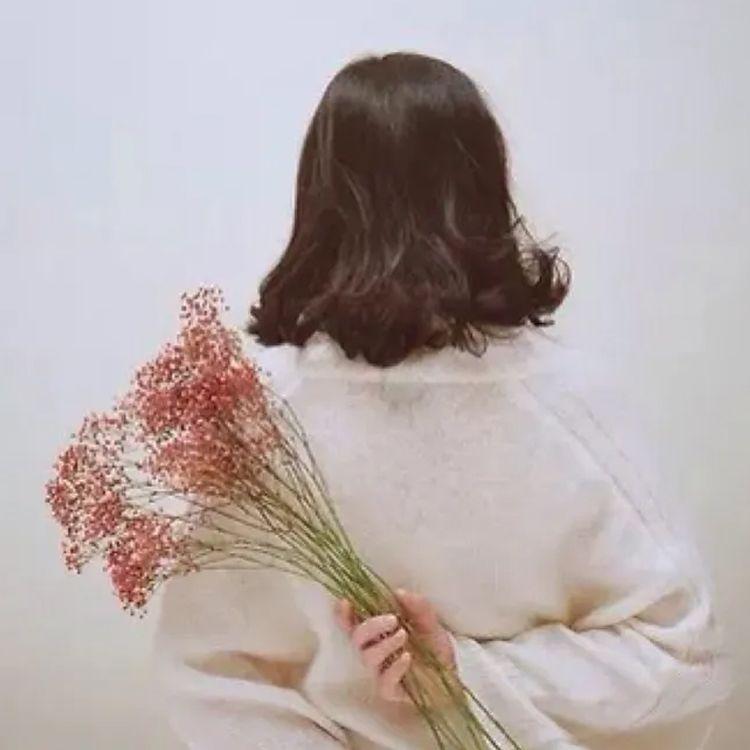 希望的乐章封面