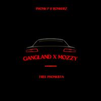 Gandland X Mozzy (feat. Bonkerz)