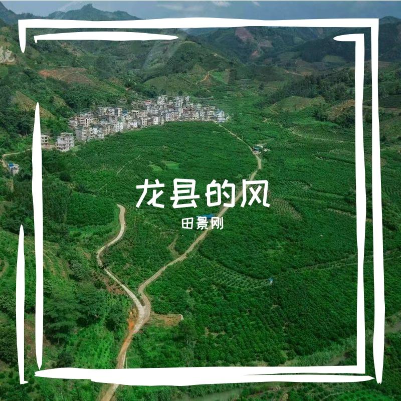 龙县的风封面