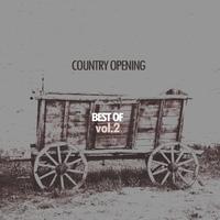 Country Opening - Best of, Vol. 2