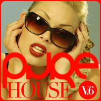 PURE House, Vol. 6