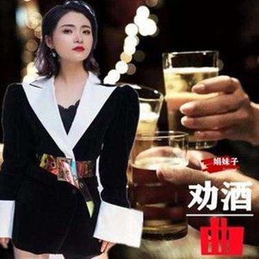 敬酒曲 (DJ版) - 娟妹子封面