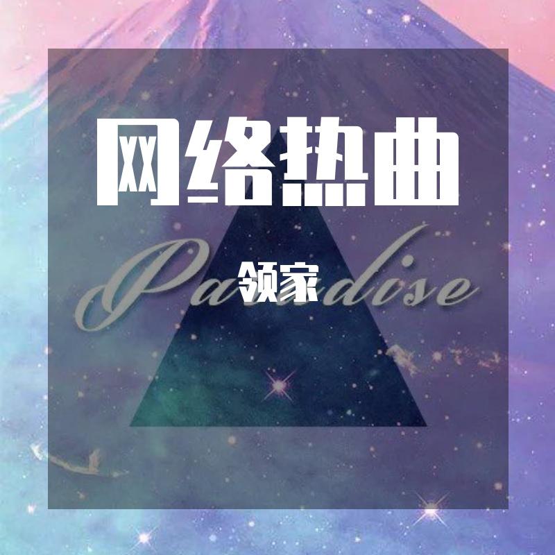 阿肆-热爱105°C的你 (DJ版)(领家 remix)封面