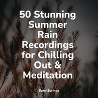 50 Stunning Summer Rain Recordings for Chilling Out & Meditation