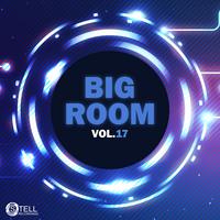 Big Room, Vol. 17