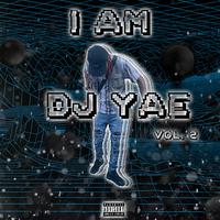 I Am DJ Yae, Vol. 2