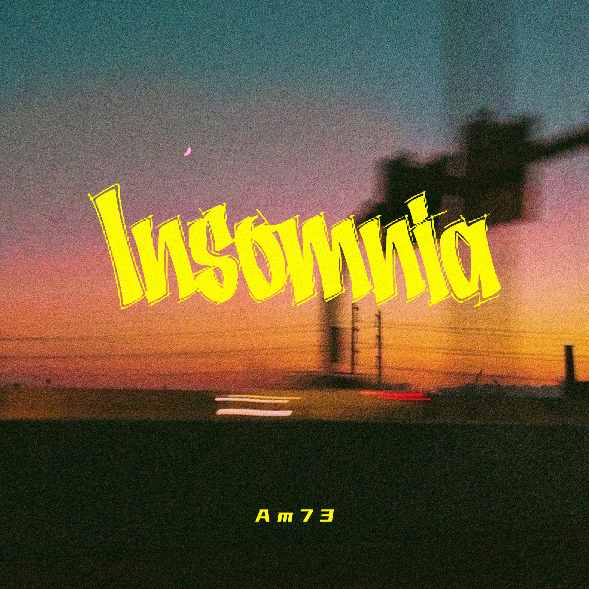 Insomnia (失眠症）