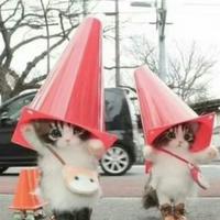 lain资料,lain最新歌曲,lainMV视频,lain音乐专辑,lain好听的歌