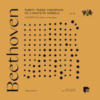 Beethoven: Thirty-Three Variations on a Waltz by Diabelli, Op. 120: Variation 14. Grave e maestoso