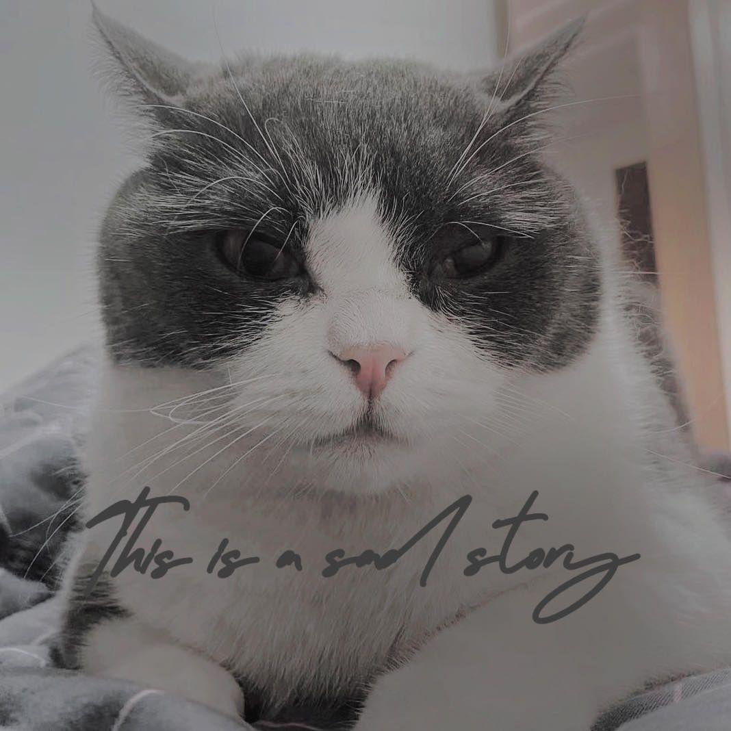 这可真是一个悲伤的故事