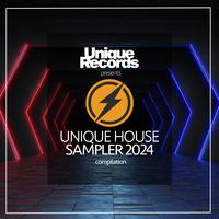 Unique House Sampler 2024