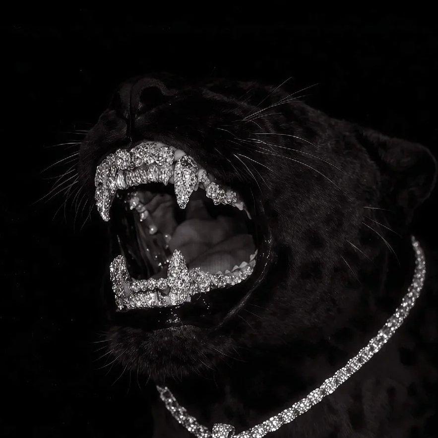 御用 hipop 歌单这一块/.