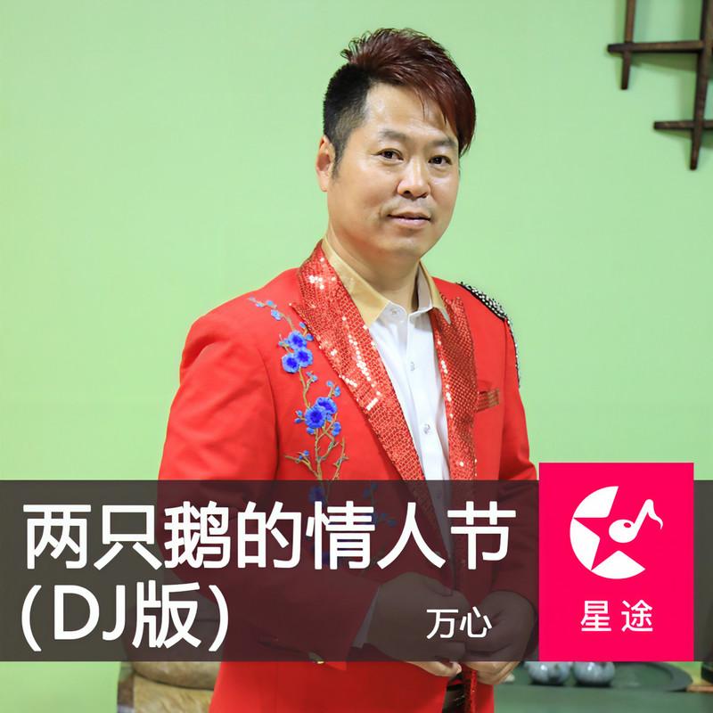 两只鹅的情人节 (DJ版)封面