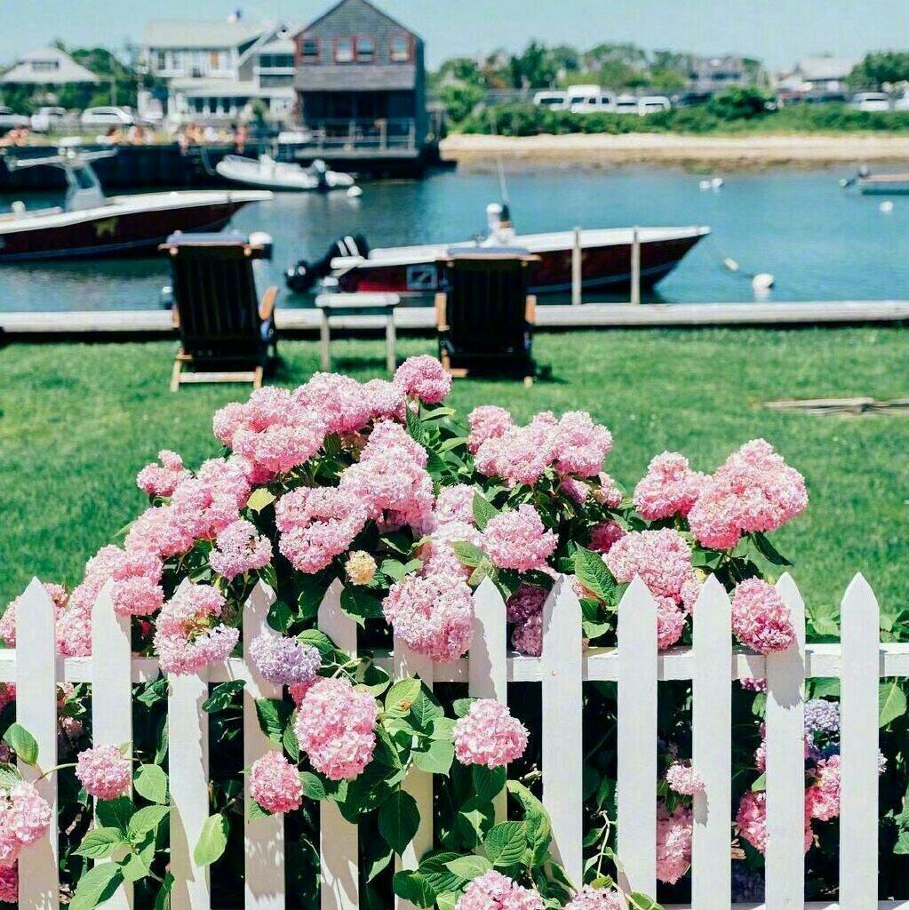 小H(26键6)ellow歌