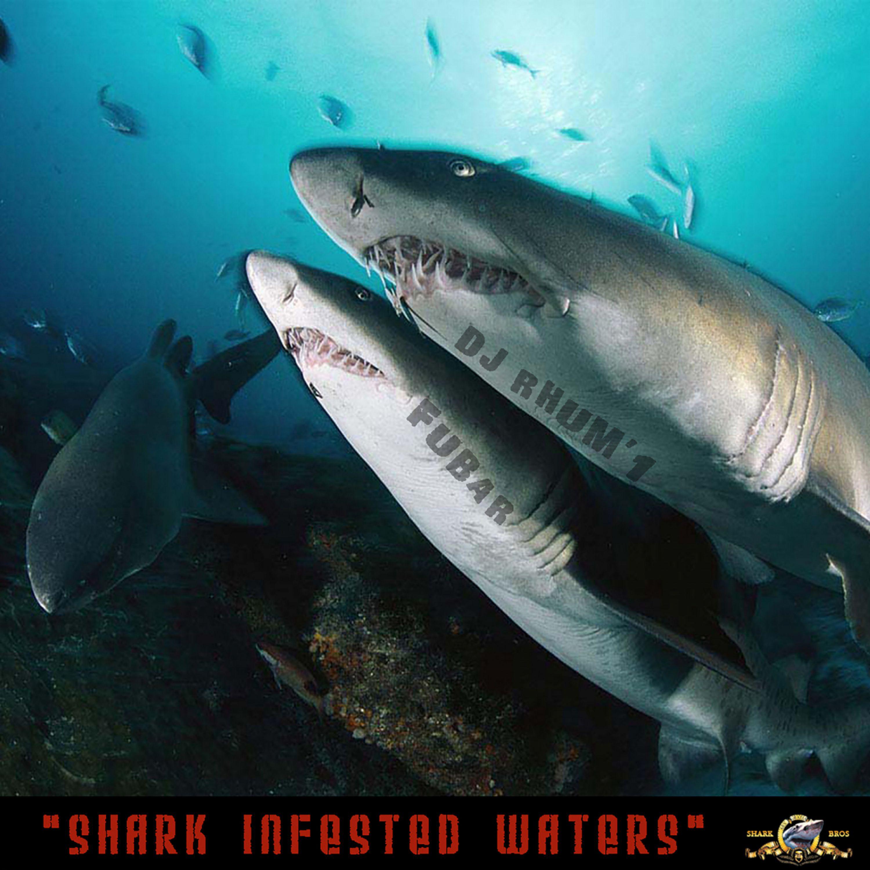 ** Discovering What Color Are Sharks Attracted To: Unveiling the Secrets of Shark Behavior