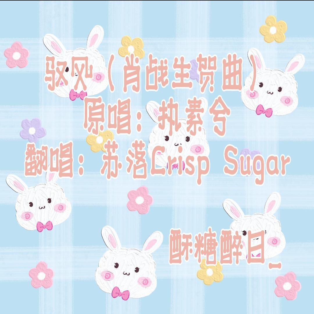 驭风(肖战生贺曲) - SusssuT封面