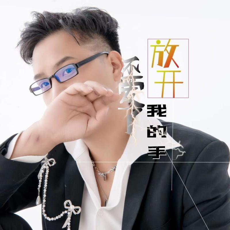不爱了放开我的手封面