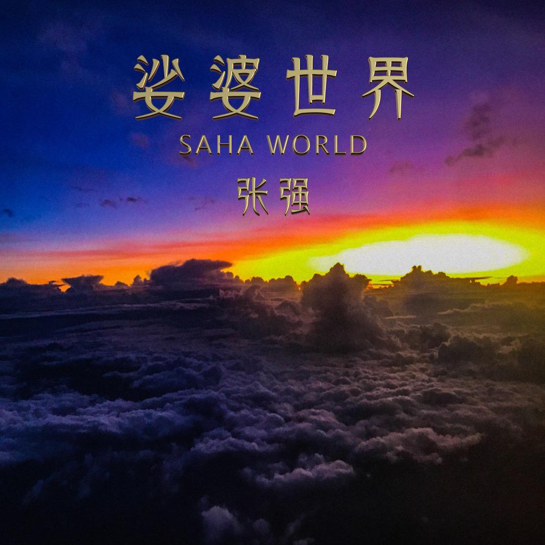 娑婆世界封面