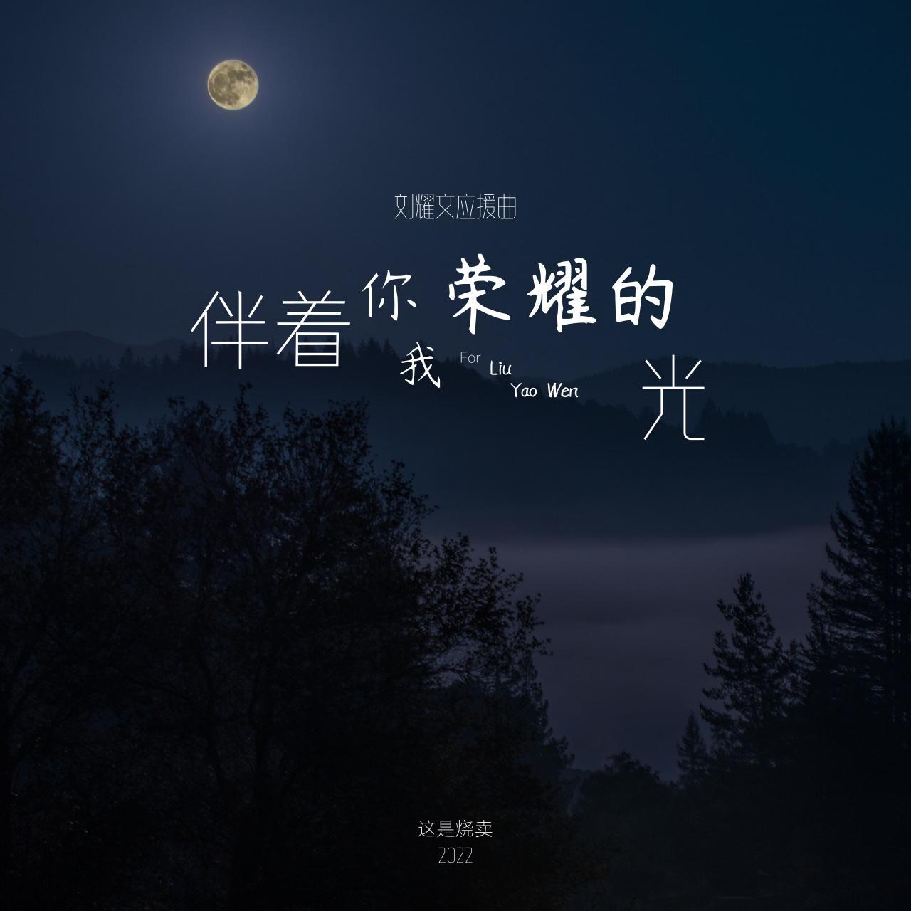 伴着你我荣耀的光封面