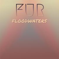 Fur Floodwaters