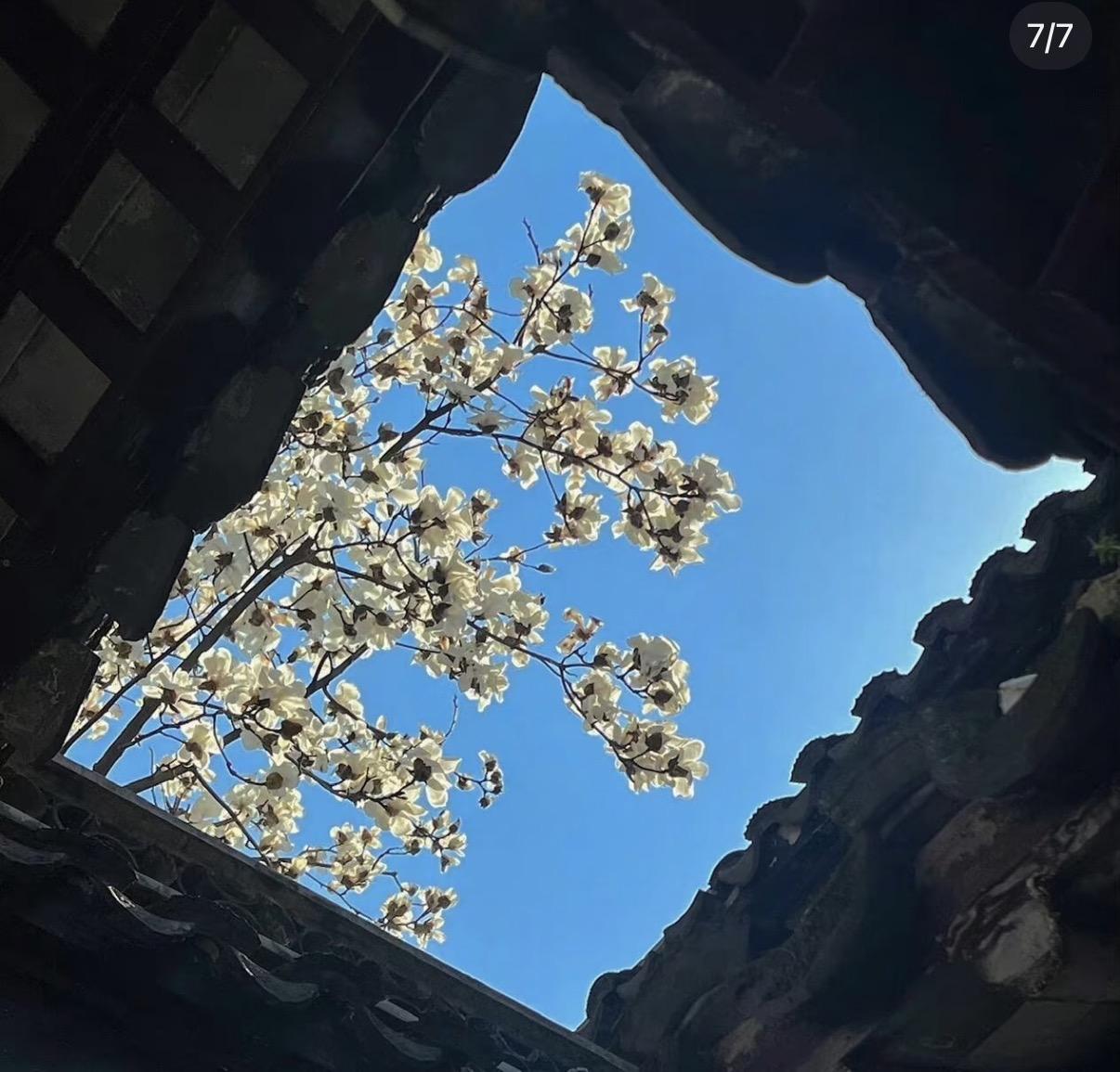 阿爸的翅膀 - Yuri封面