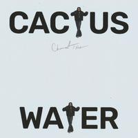 Cactus Water