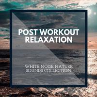 Post Workout Relaxation - White Noise Nature Sounds Collection