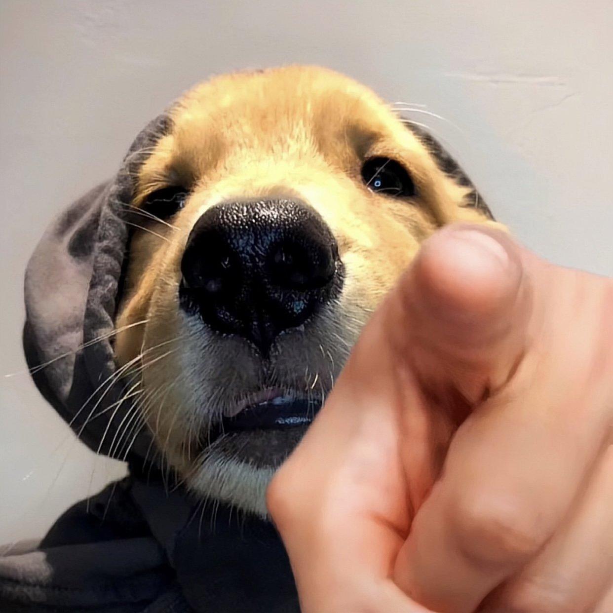 六月的雨，八月的风