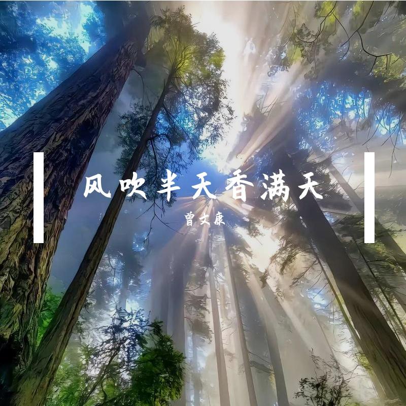 永远叫不醒装睡的人封面