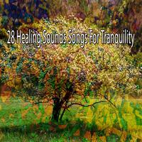 28 Healing Sounds Songs For Tranquility