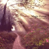 A Magical Forest