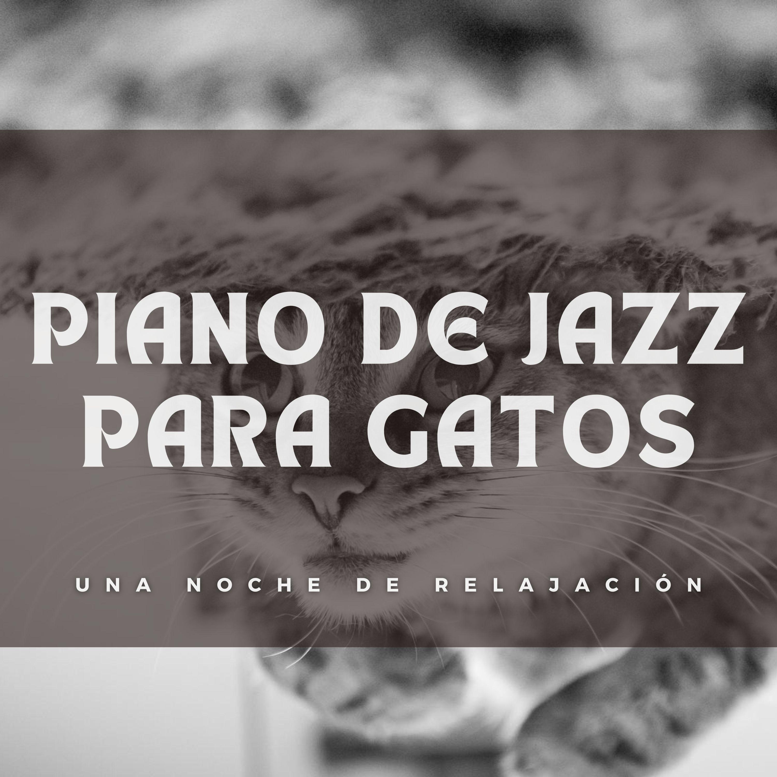 Melod As Relajantes De Gato Equipo De Piano Relajante Musica De Jazz Para Hoteles Gato De