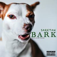 Bark (Short)