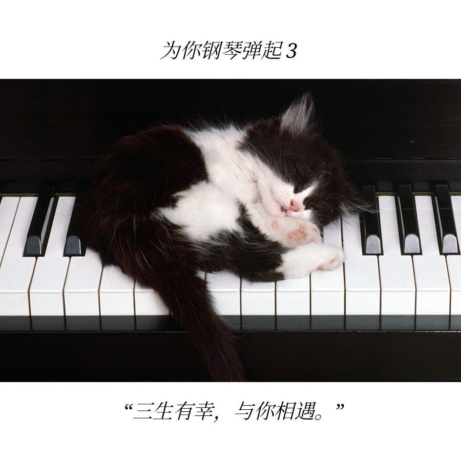 我的宣言(钢琴曲)封面