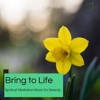 Bring To Life - Spiritual Meditation Music For Serenity